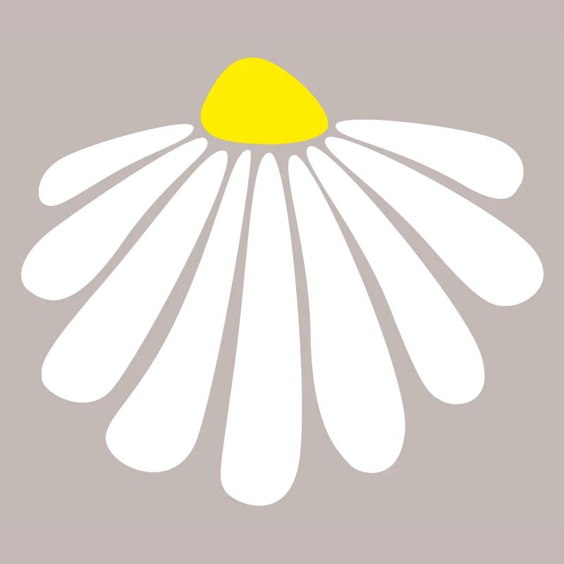 Blume Energie Margarithe Blüte Sommer Natur