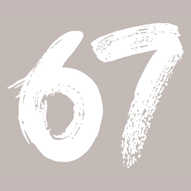 67 White Paint