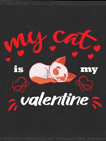 my cat