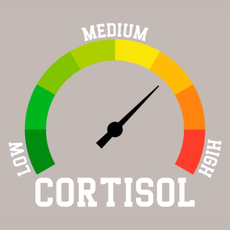 Low Cortisol Low Level Even