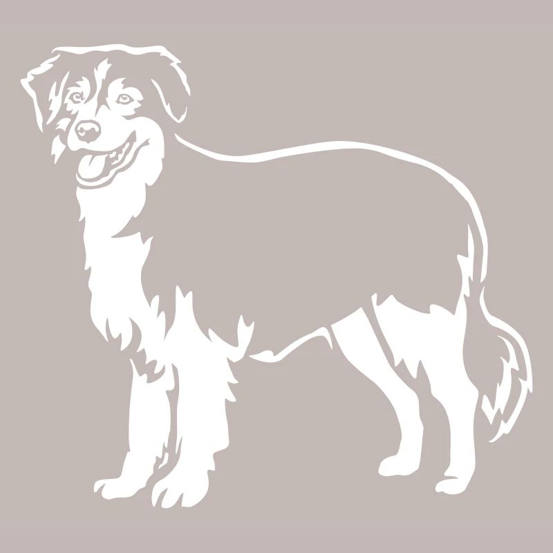 Australian Shepherd "Black Edition"