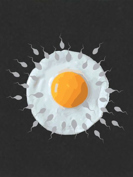 Breakfast egg