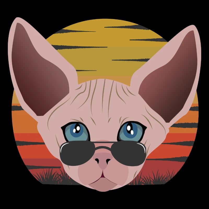 sphinx cat sunset