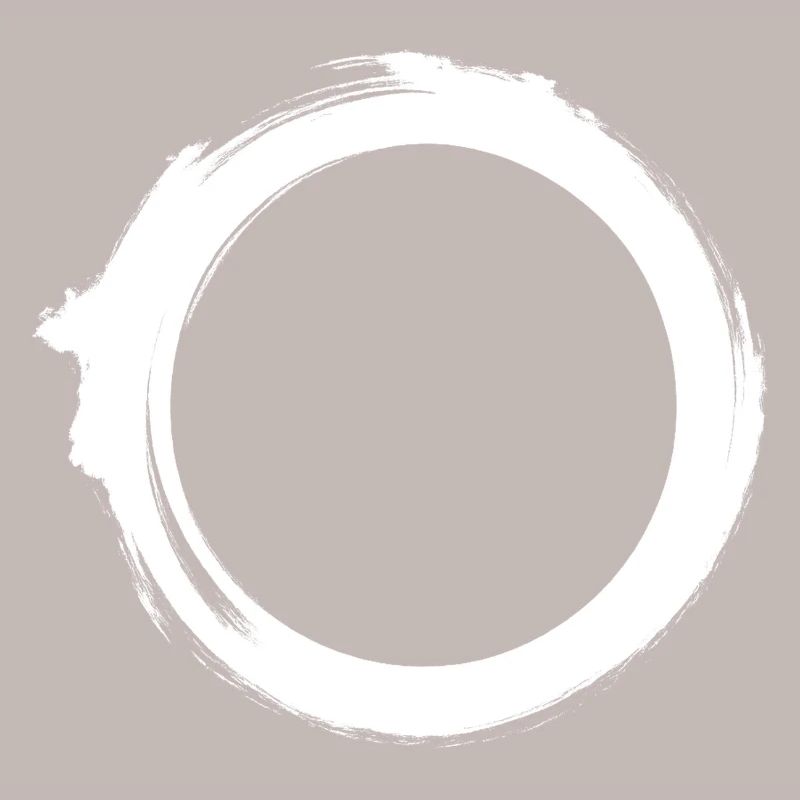 Black Hole Universe Silhouette Minimal Physics