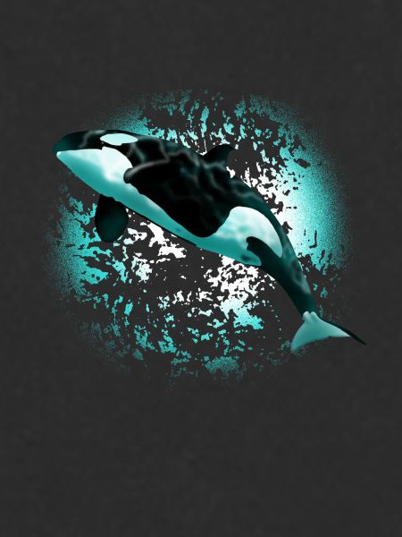 orca