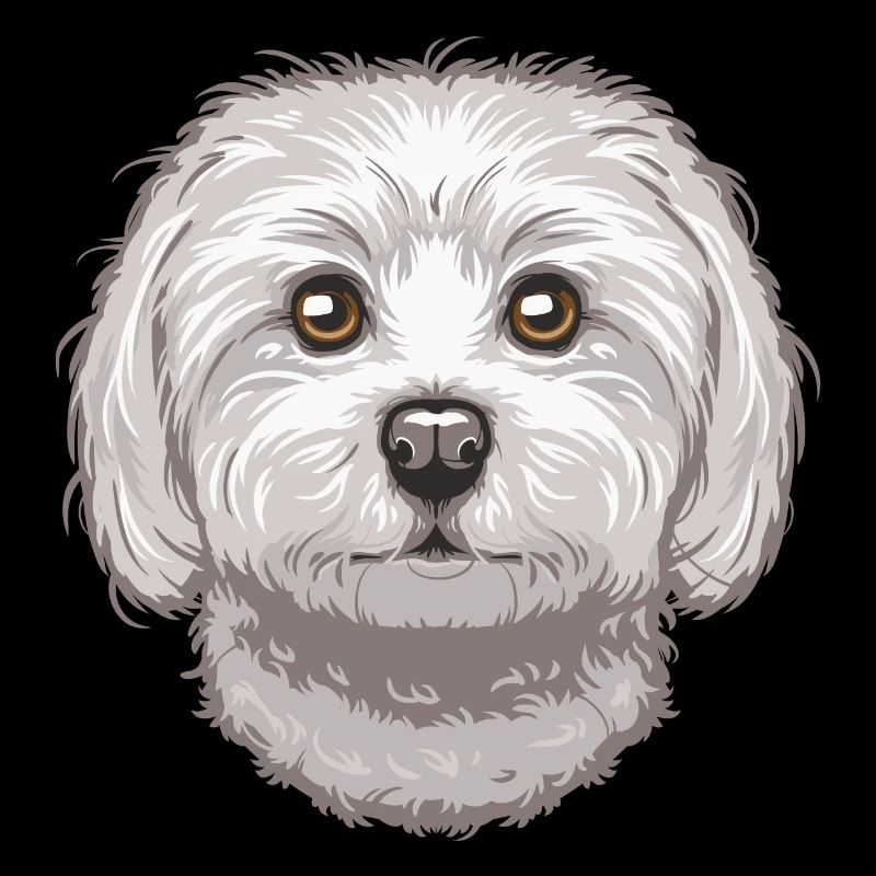 Maltese
