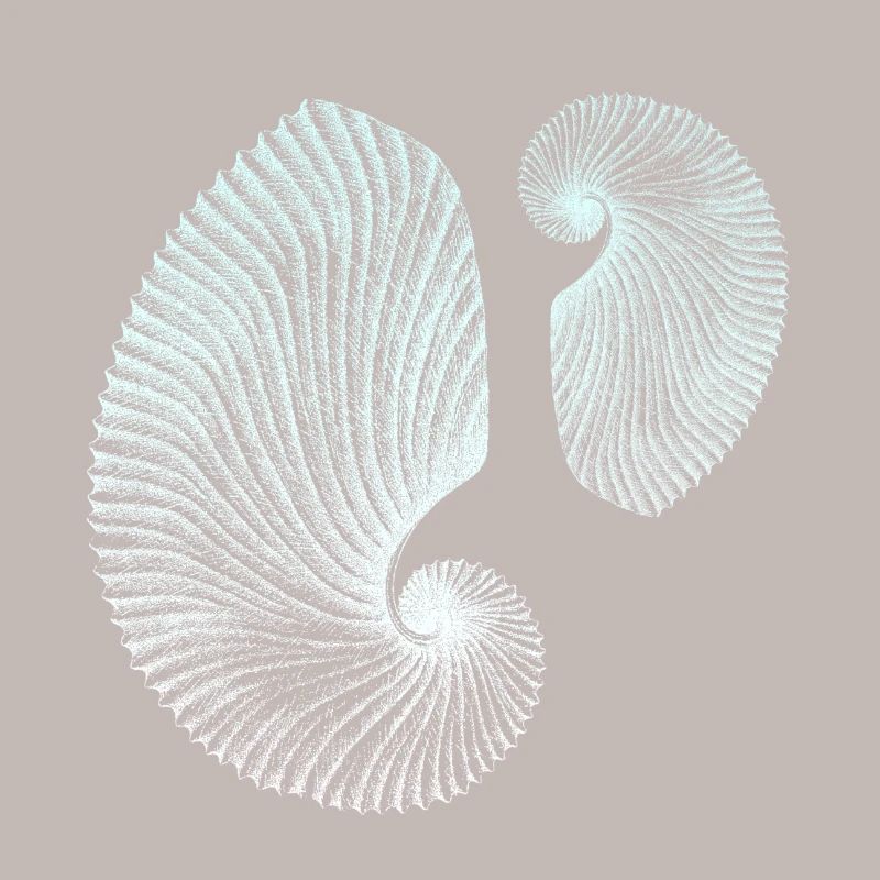 Minimalist spiral marine patterns