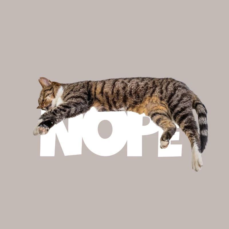 Nope cat