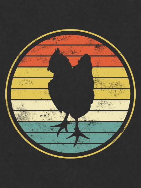Chicken chickens