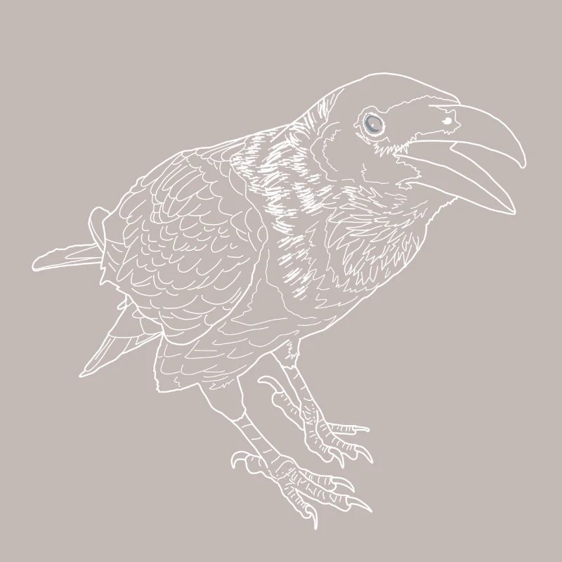 Krähe lineart