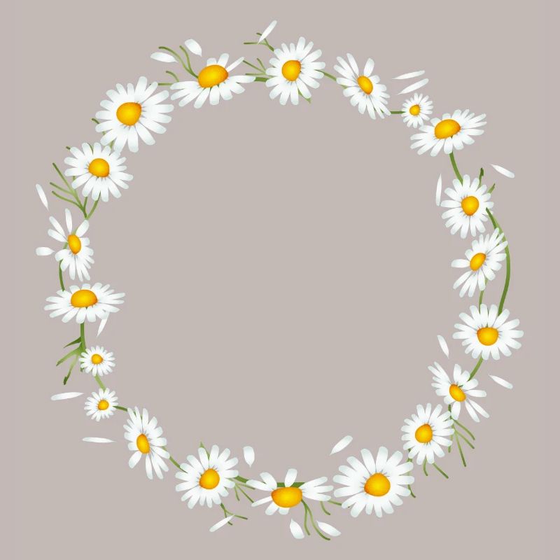 bright chamomile wreath from chamomile flowers