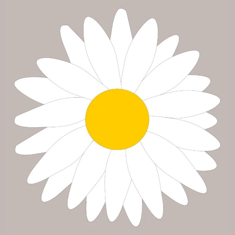 Blume weiß weiße Blumen Geschenk Muttertag Mutter