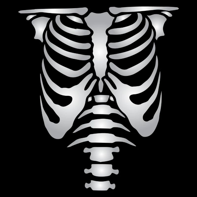 Human skeleton bones torso