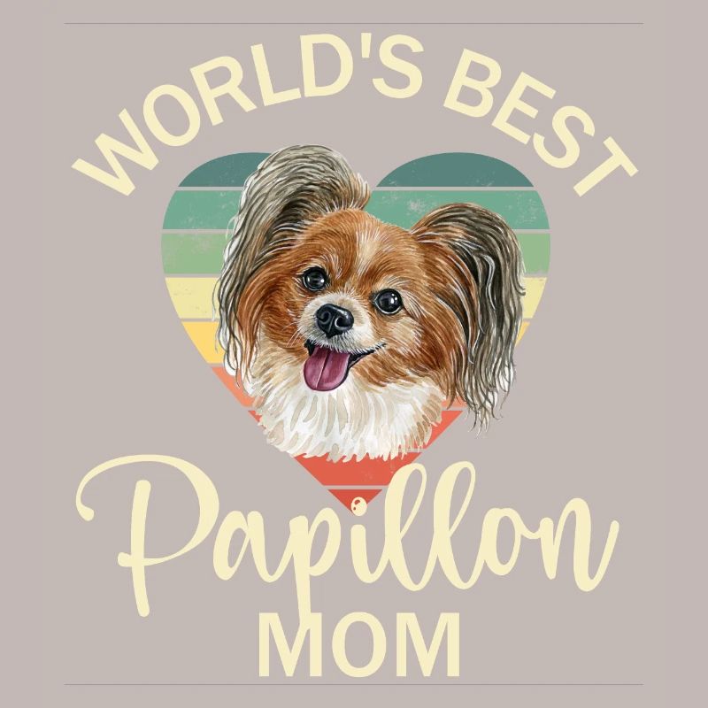Dog Papillon Dwarf Spaniel