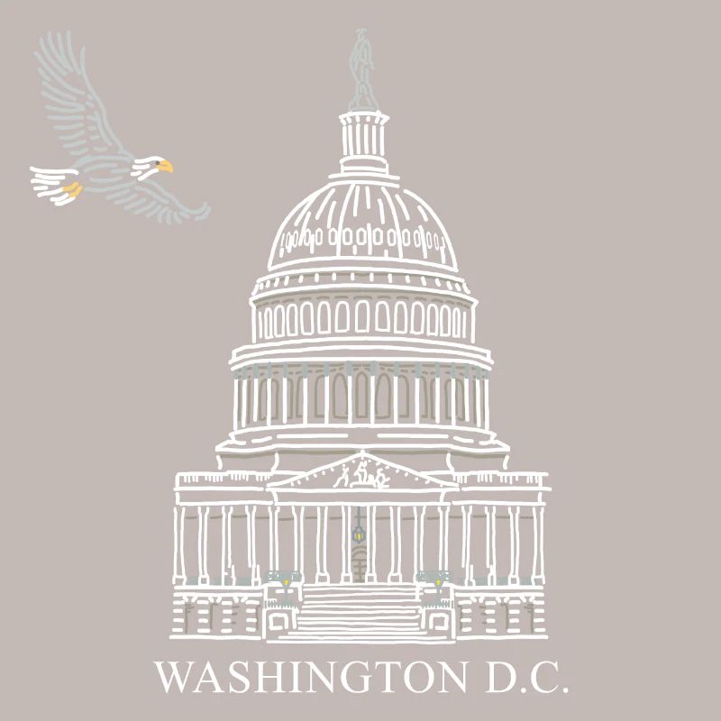 Washington D.C., Capitol Structure, Bald Eagle