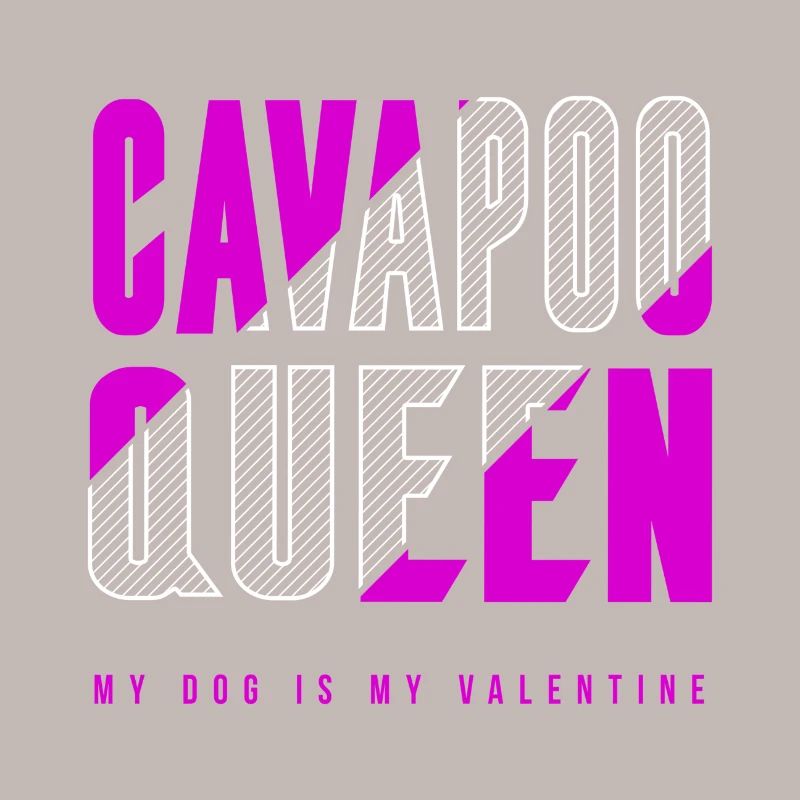 Cavapoo Queen
