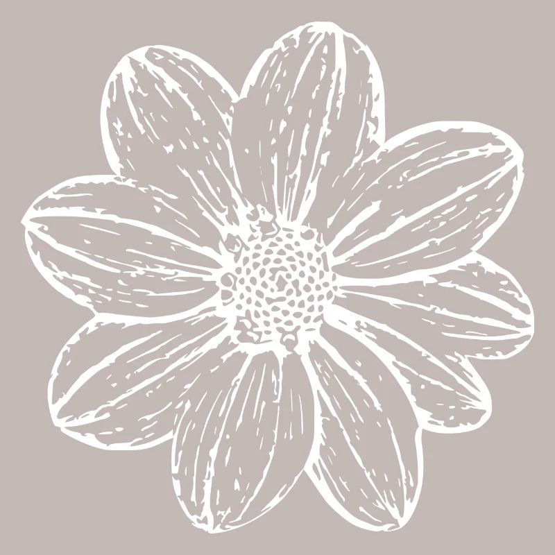 Fleur, Blanc, Fleur Blanche