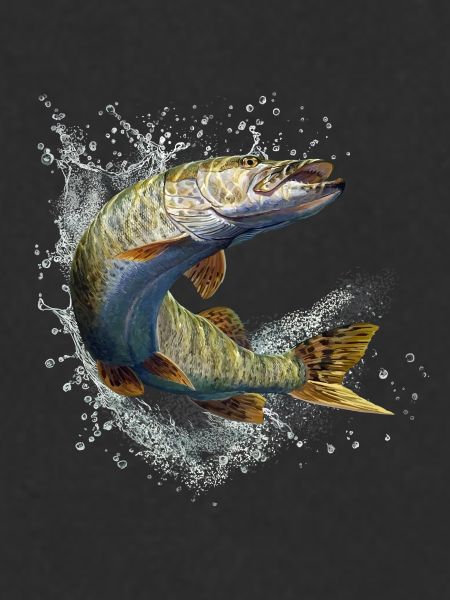 Brochet