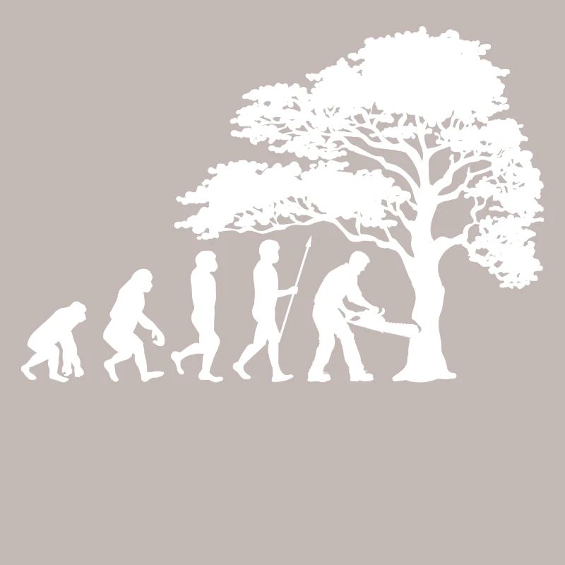 Arbre bois sciure sciure bûcheron boiseries