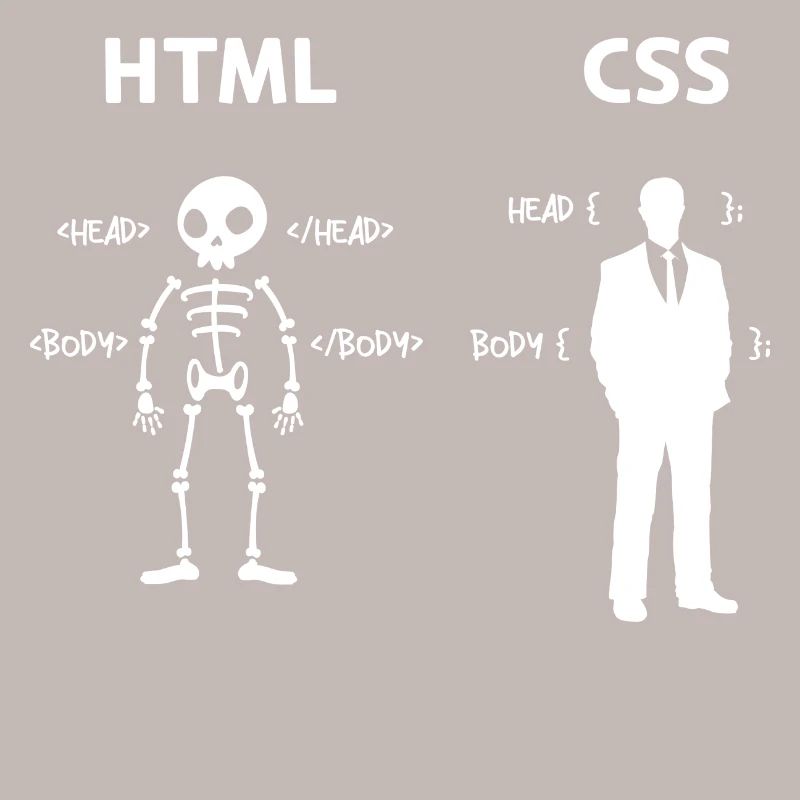Code Css C++ Php Java Developer Code Skripting
