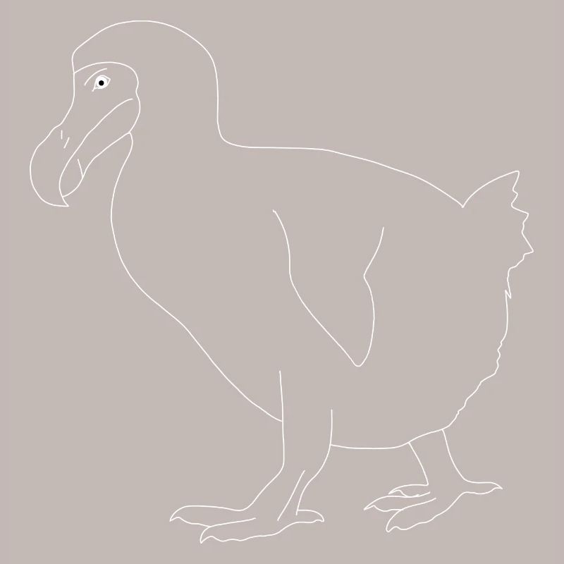 Dodo
