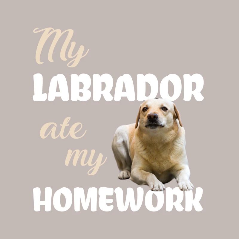 Devoirs du Labrador