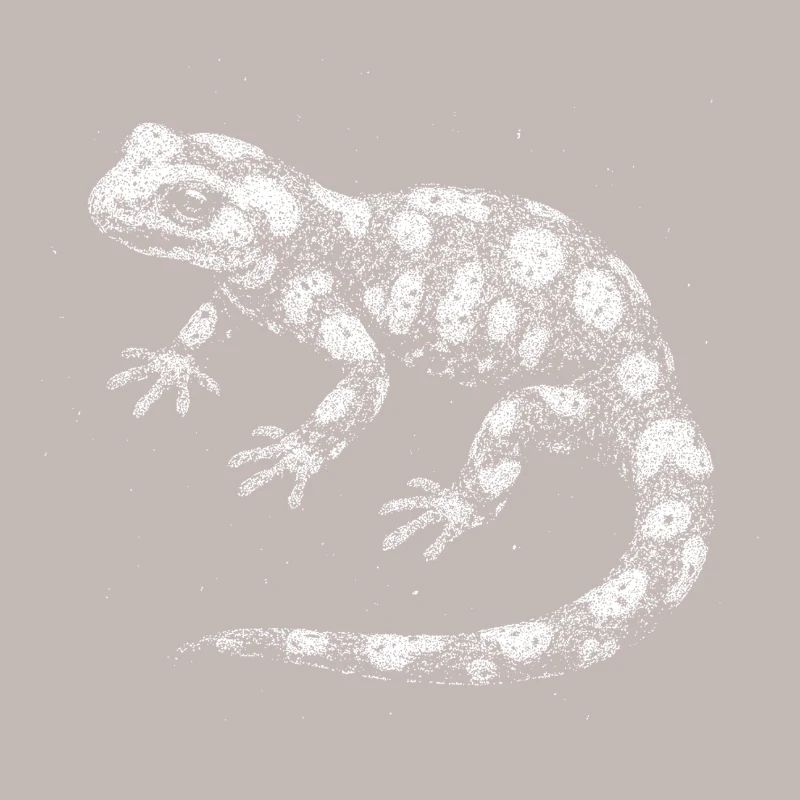 Fire salamander