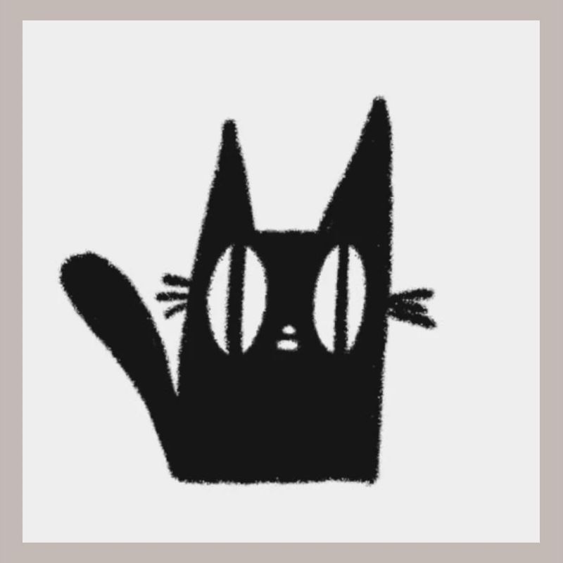 Mimi le chat noir