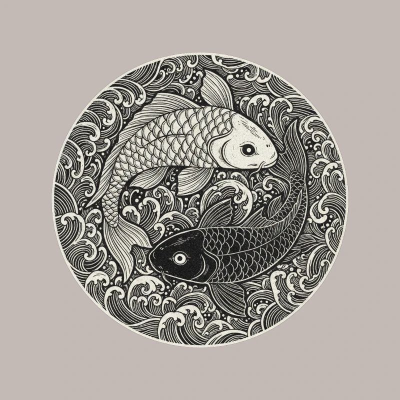 Koi Carp