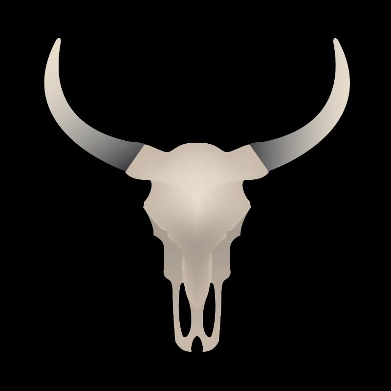 Buffalo Skull