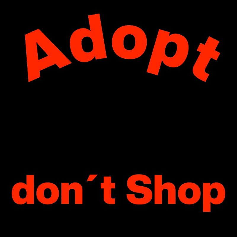 ADOPT, DON'T BUY, PAW WAY! STATEMENT