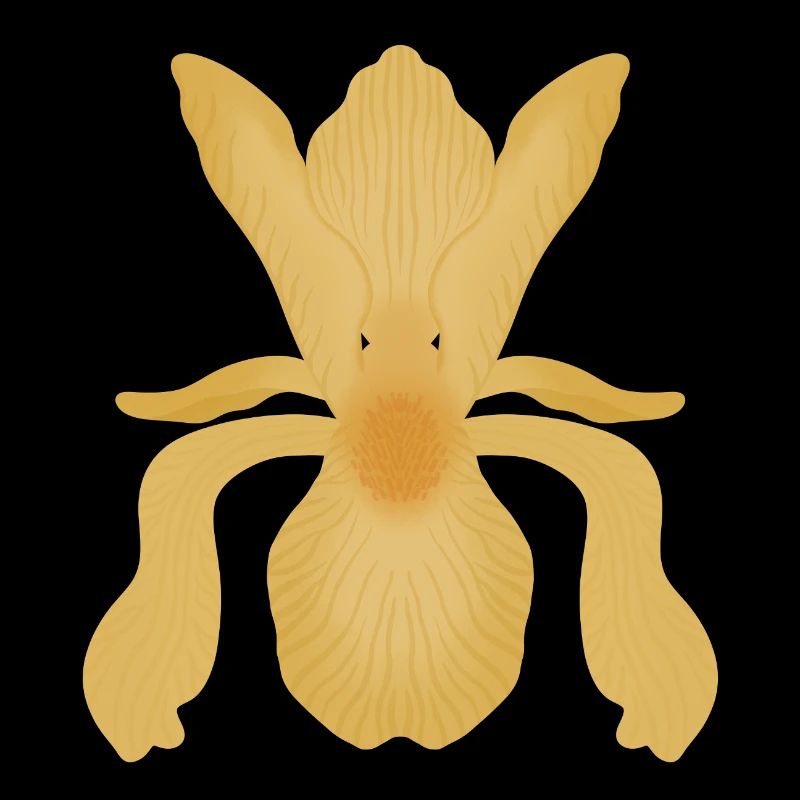 Goldene Irisblüte