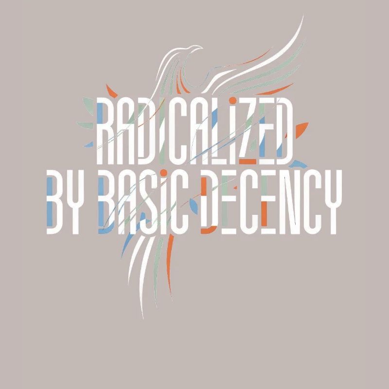 Radicalized by Basic Decency Shirt for Activists