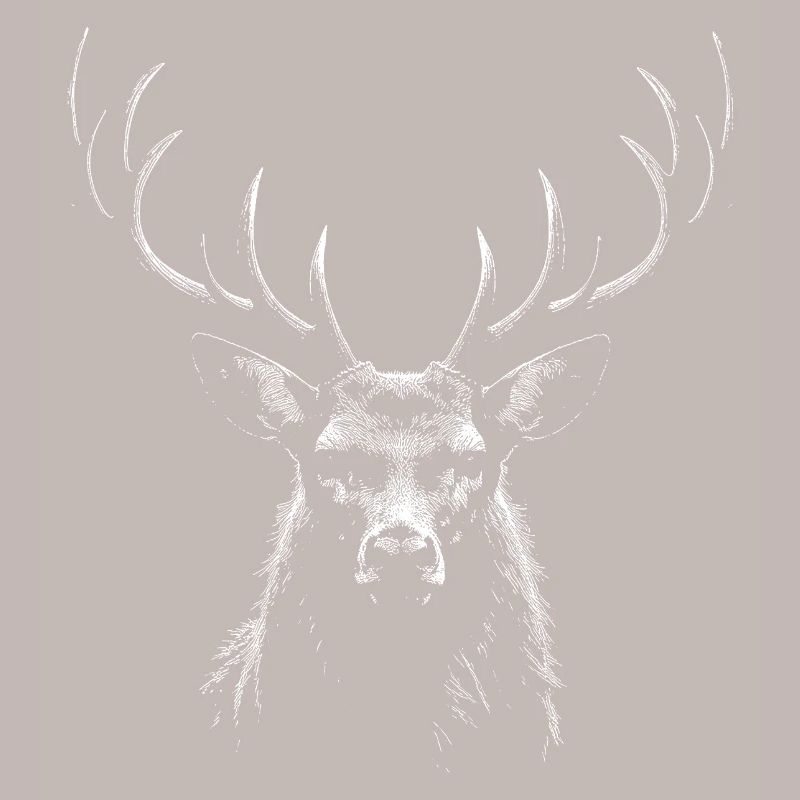  Hirsch