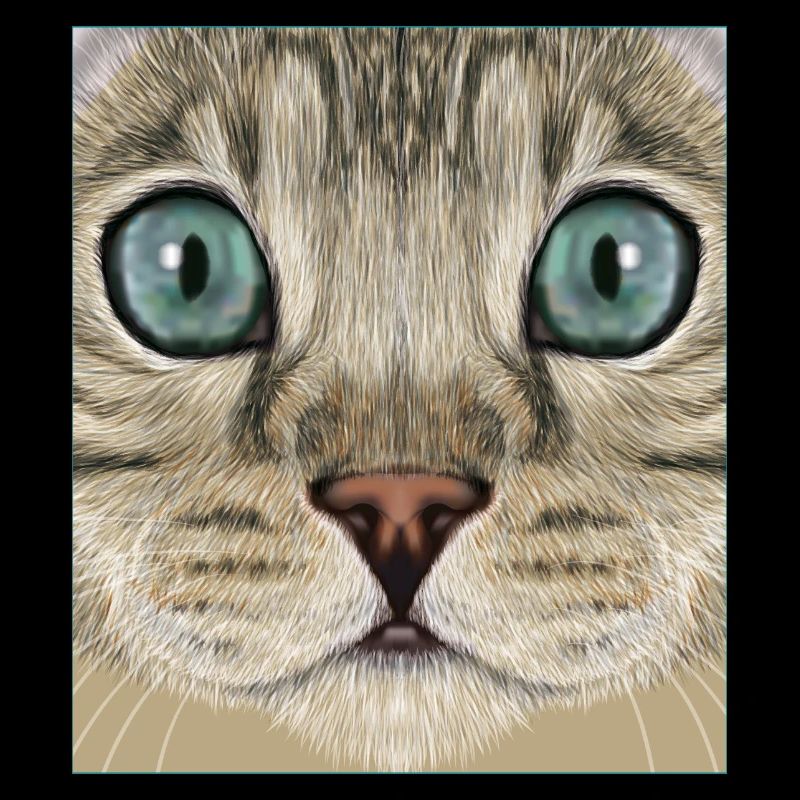leopard cat