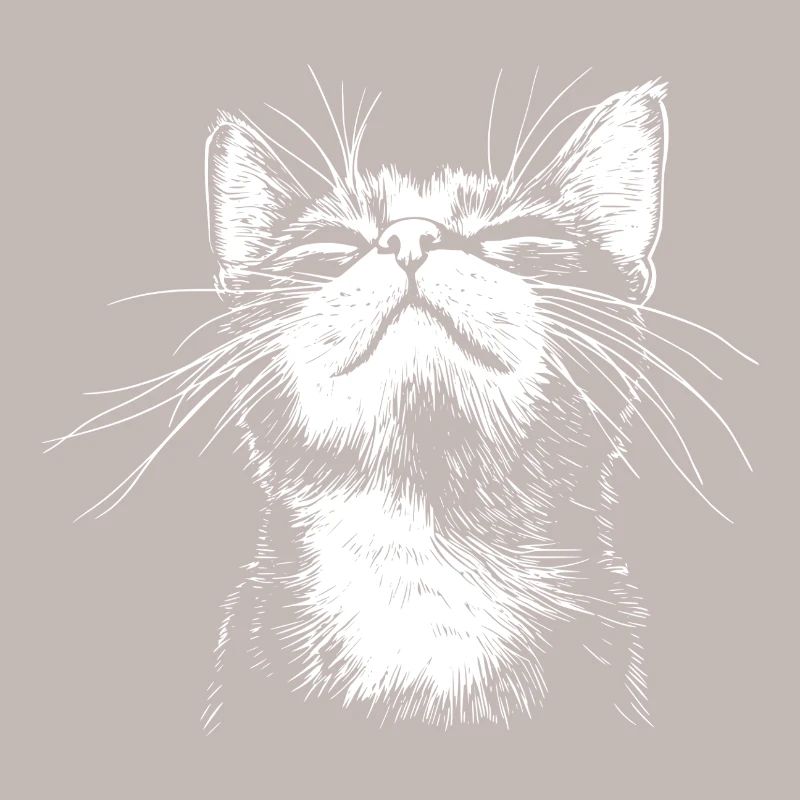Drôle de Chat