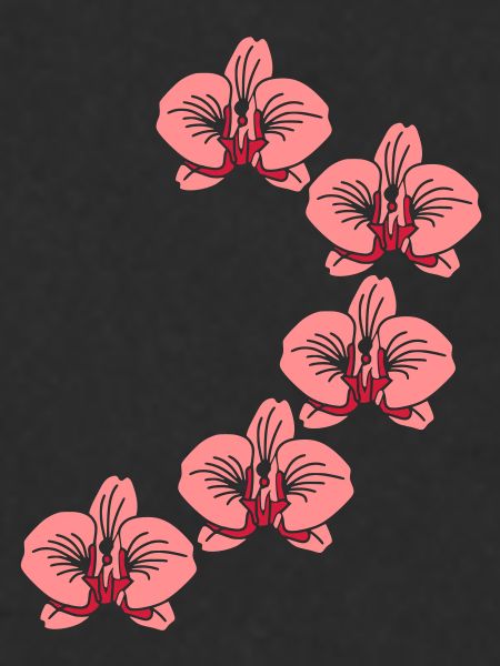 orchidee_2