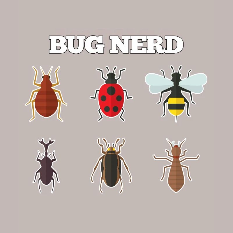 Bug Nerd