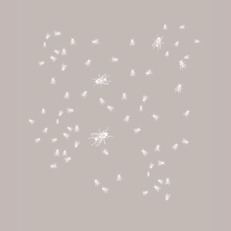 Flies