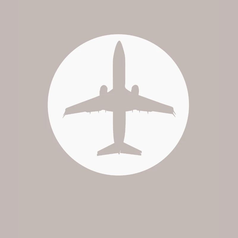 Pilot Airplane Airplane Gift