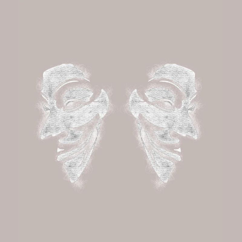 Anonymous v comme vendetta Double Head