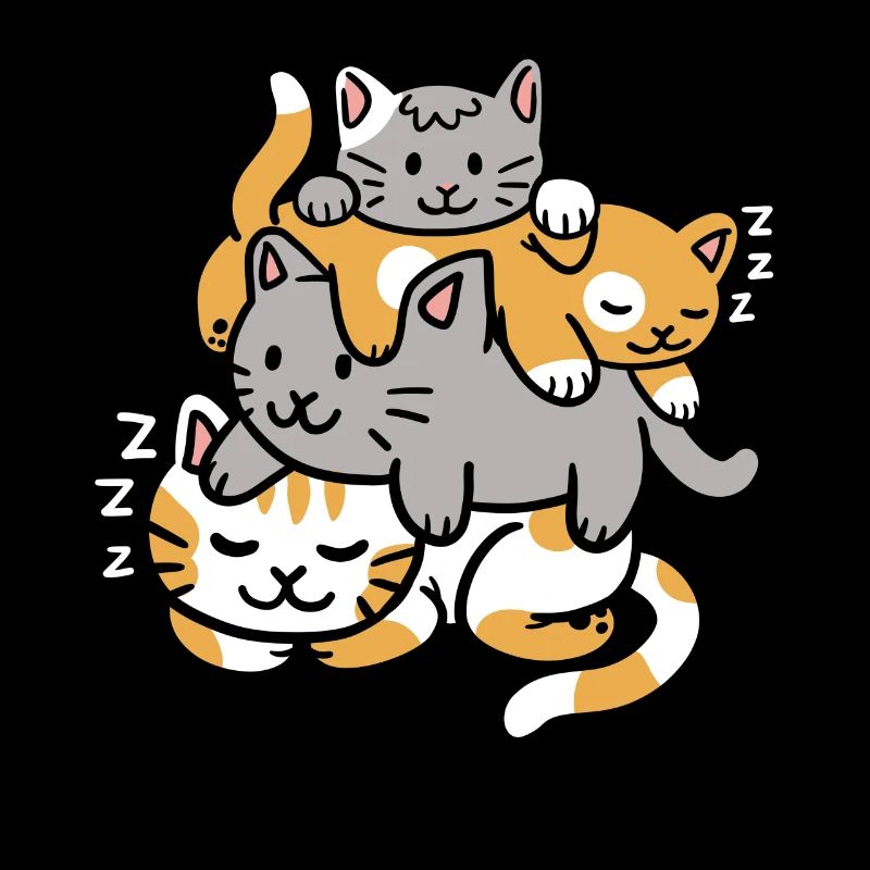 Chaton Chaton