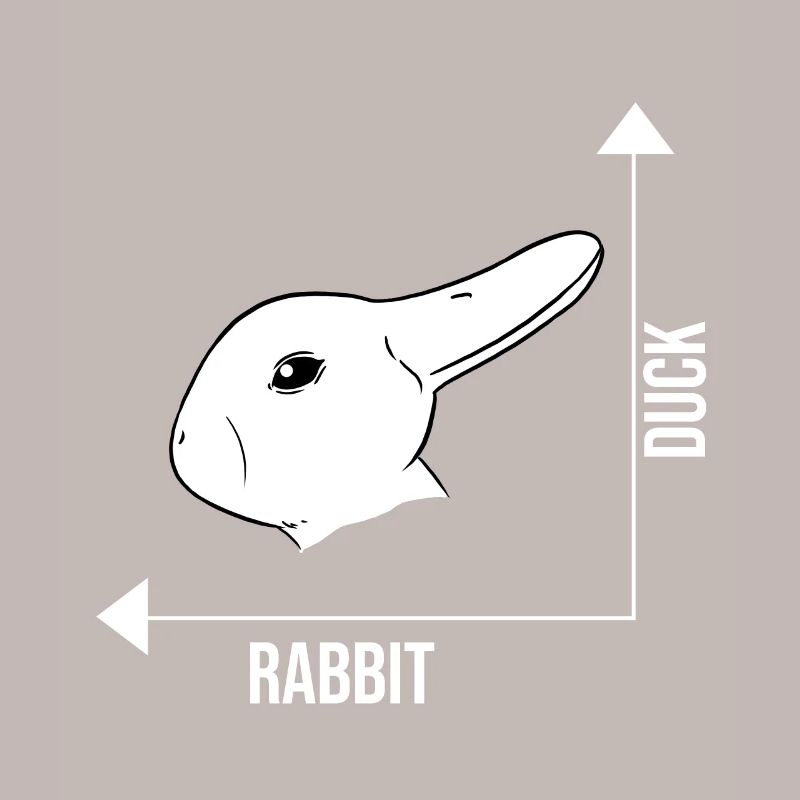 Illusion d'optique lapin canard illusion