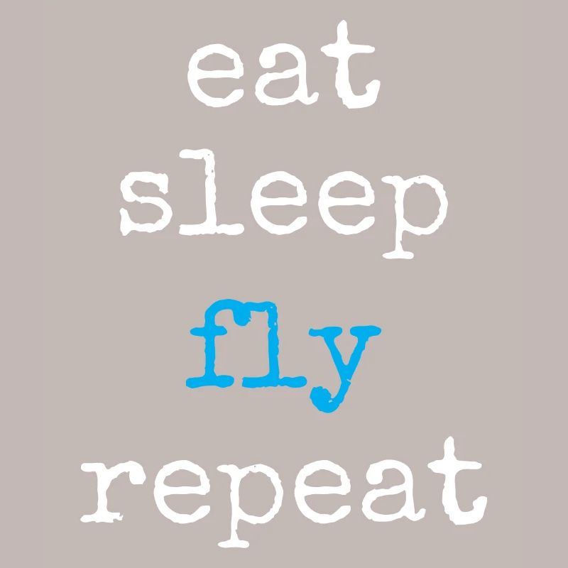 Pilote aux commandes