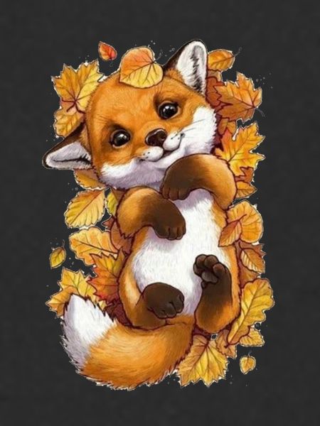 Cute baby fox
