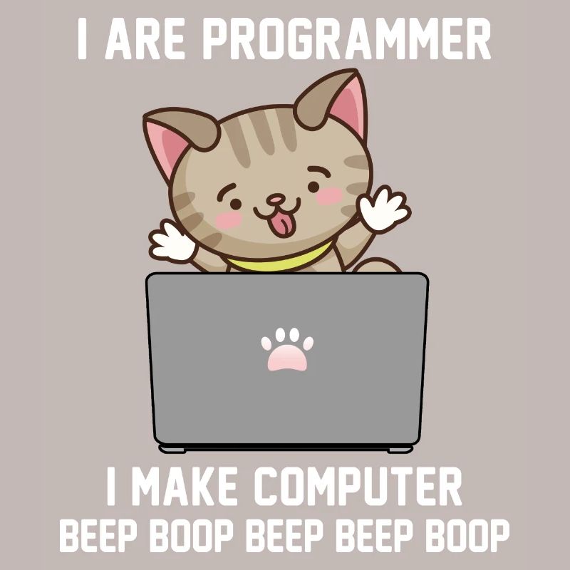 Programmer