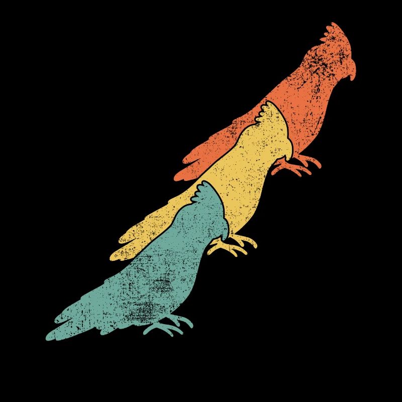 Nymphensittiche Vogel