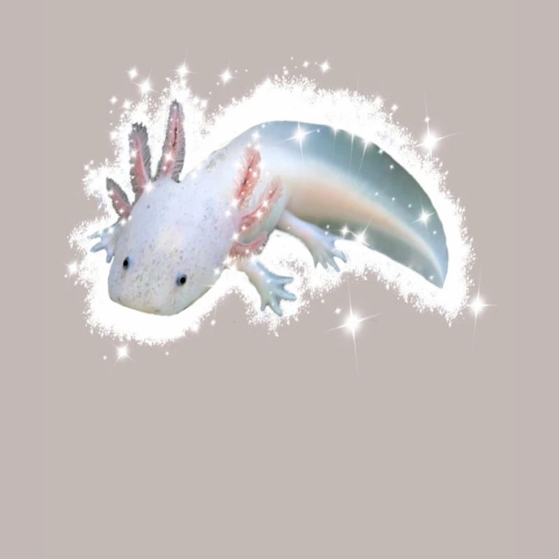 weißes Axolotl