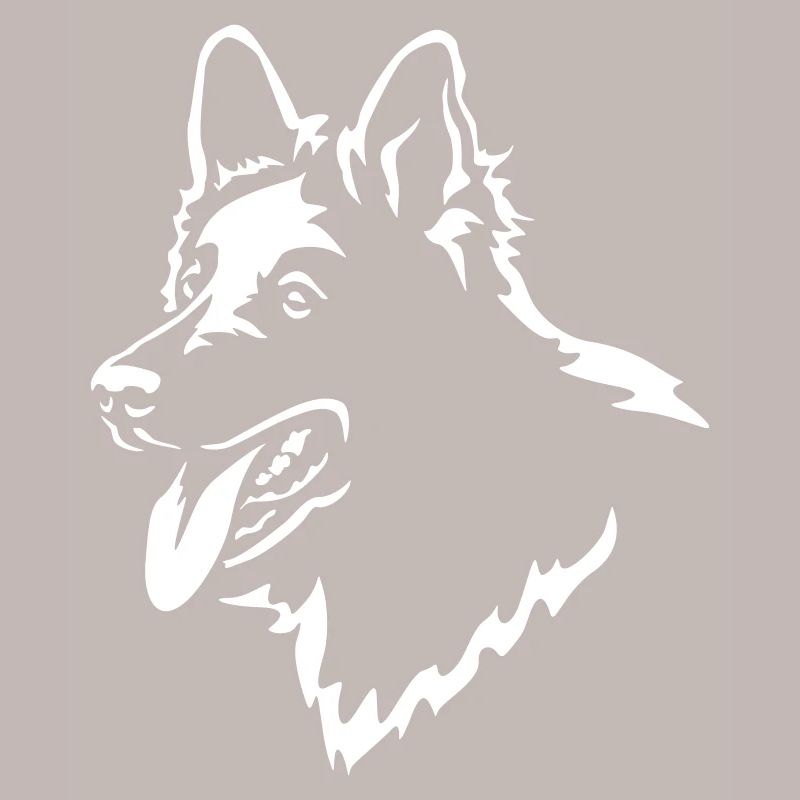Schweizer Schäferhund Kopf