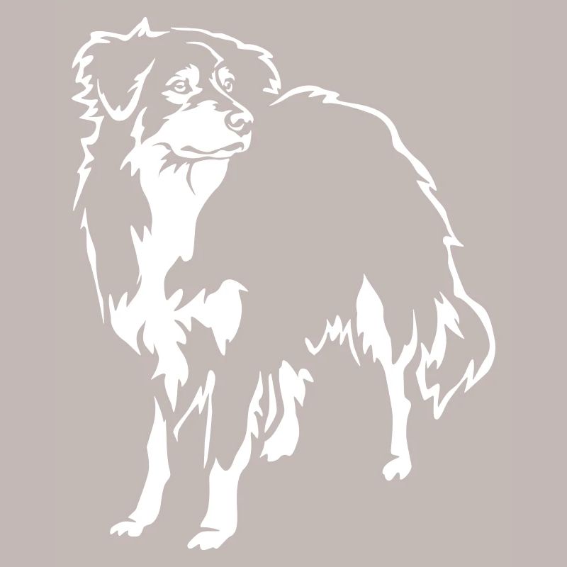 Australian Shepherd "Black Edition"